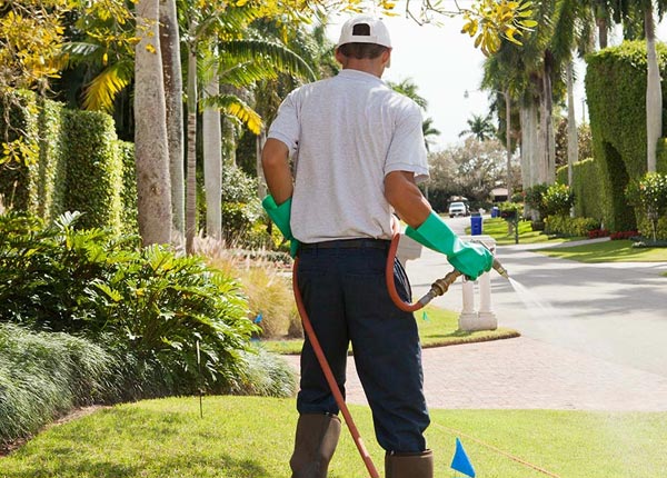 About Tad WV Pest Control